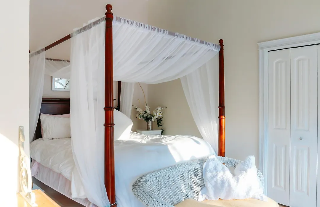 Star Of The Sea B&B-1