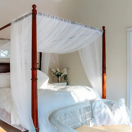 Star Of The Sea B&B-3